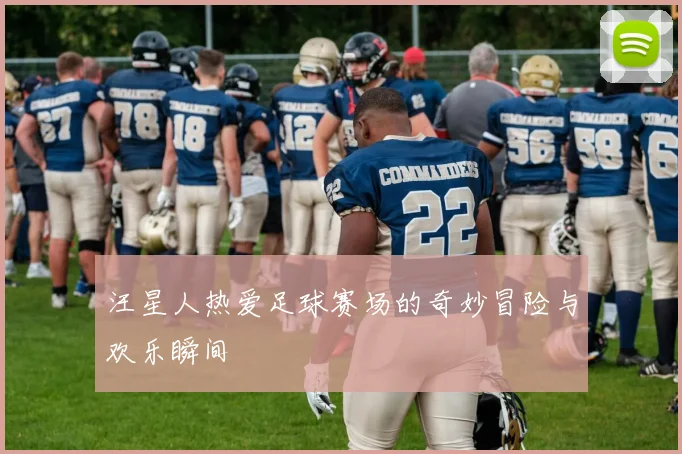 汪星人热爱足球赛场的奇妙冒险与欢乐瞬间