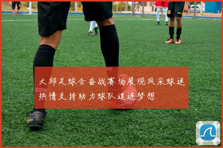 大邱足球会奋战赛场展现风采球迷热情支持助力球队追逐梦想