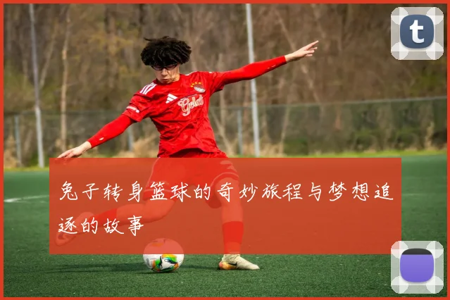 兔子转身篮球的奇妙旅程与梦想追逐的故事