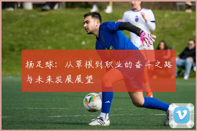 杨足球：从草根到职业的奋斗之路与未来发展展望