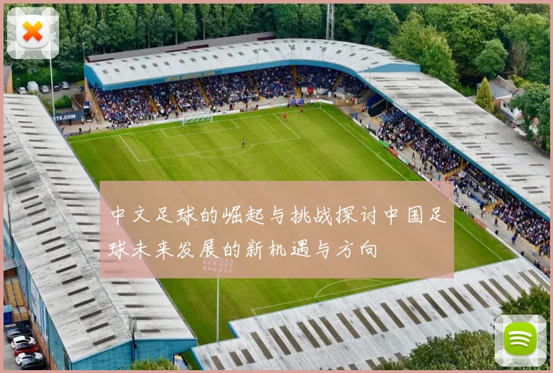 中文足球的崛起与挑战探讨中国足球未来发展的新机遇与方向