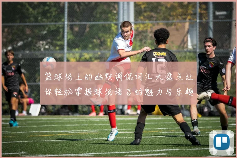 篮球场上的幽默调侃词汇大盘点让你轻松掌握球场语言的魅力与乐趣