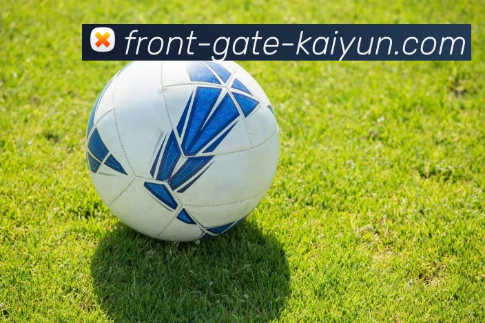 开云平台生态图